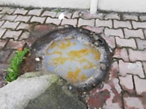 Konyaaltı Logar Temizleme